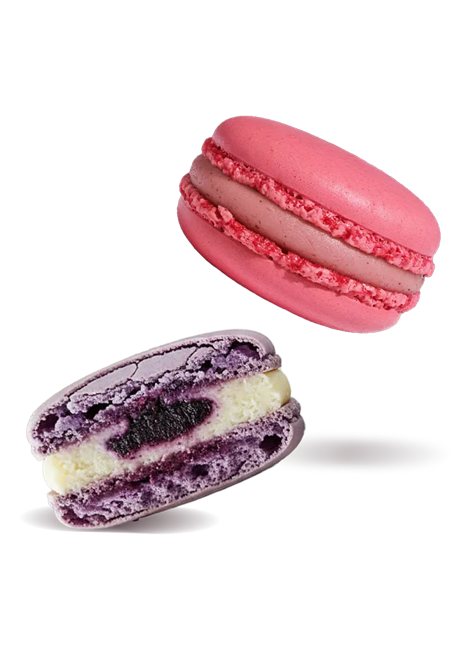 Deux macarons Pierre Morel dont un présenté en coupe