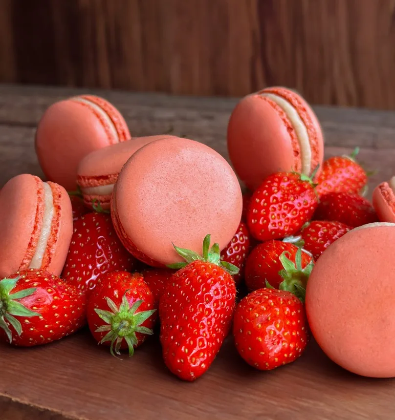 Macarons de la Maison Pierre Morel à La Gacilly